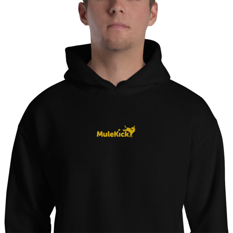 Hoodie "Eu Levo No Pacote" – Conforto e Humor Num Só - Image 3