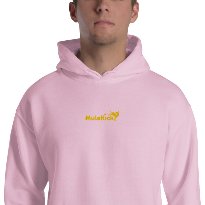 Hoodie "Eu Levo No Pacote" – Conforto e Humor Num Só - Image 38