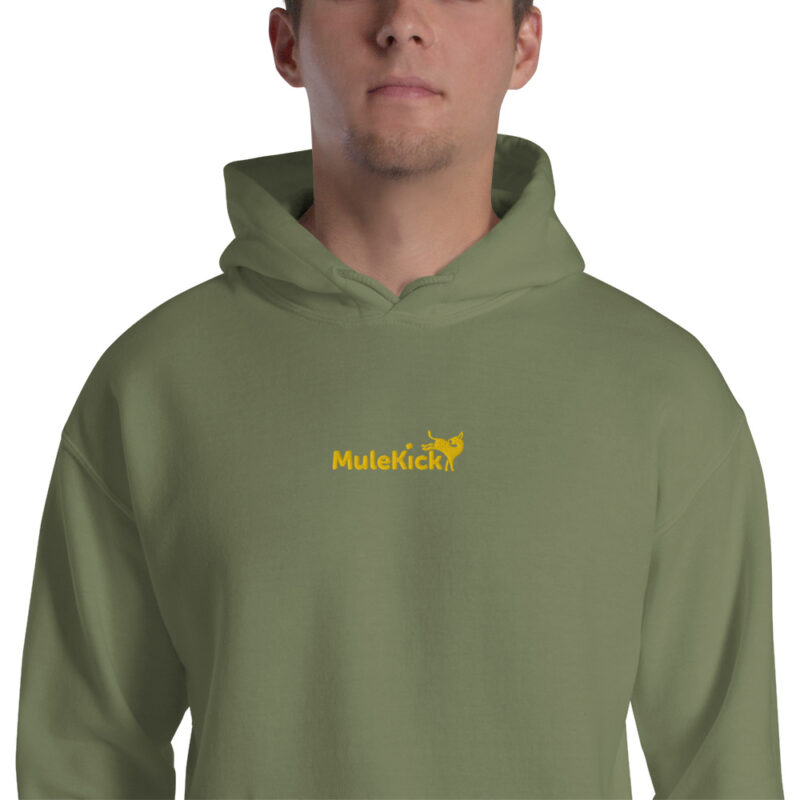 Hoodie "Eu Levo No Pacote" – Conforto e Humor Num Só - Image 29