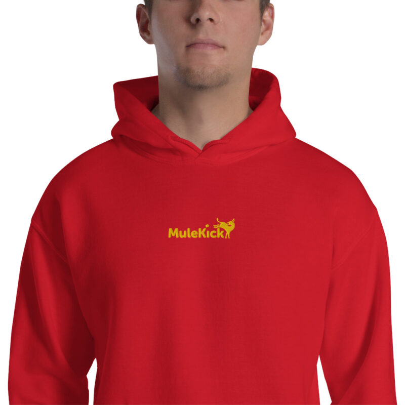 Hoodie "Eu Levo No Pacote" – Conforto e Humor Num Só - Image 15