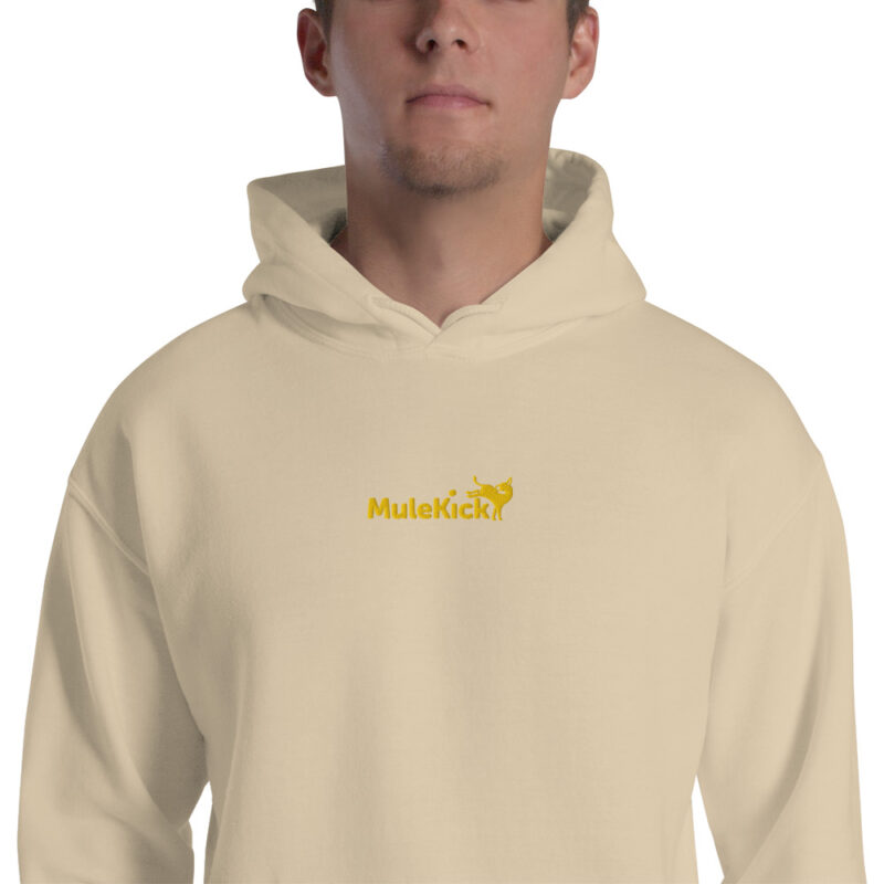 Hoodie "Eu Levo No Pacote" – Conforto e Humor Num Só - Image 35